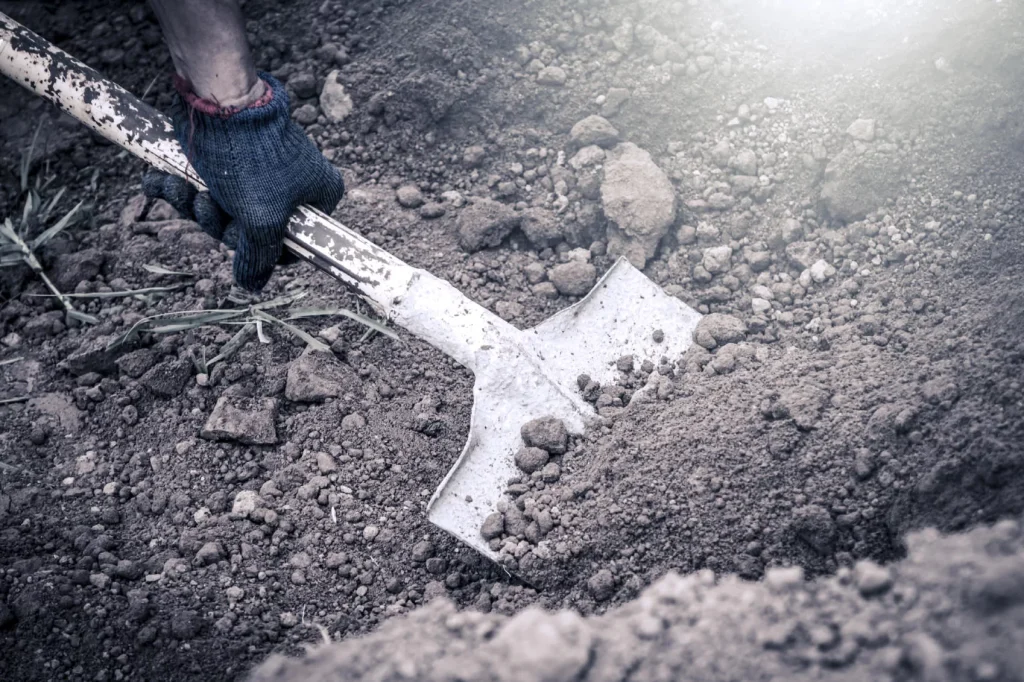 iStock 000068600811 Medium